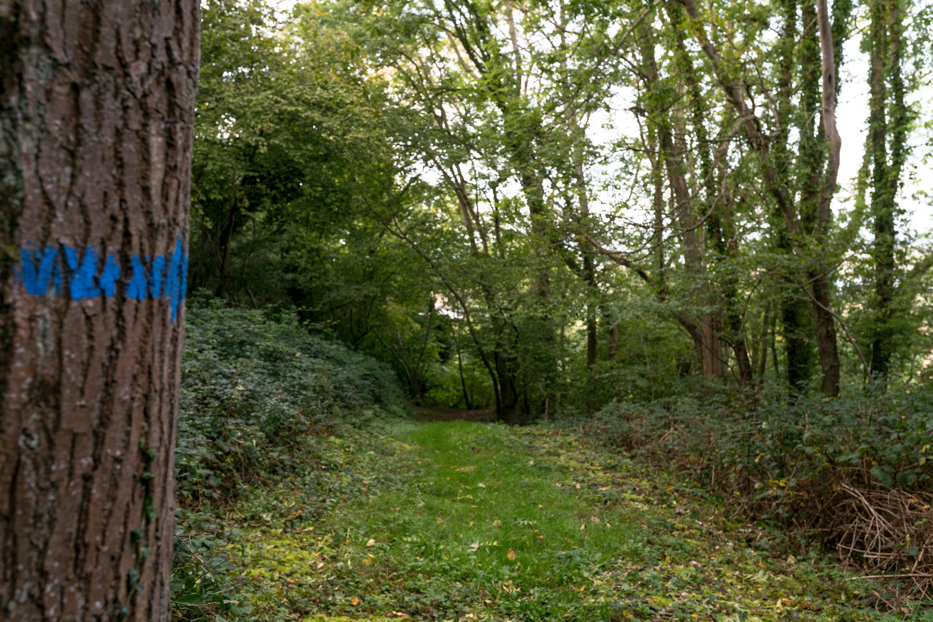 FATOUVILLE-GRESTAIN - Chasse aux trésors