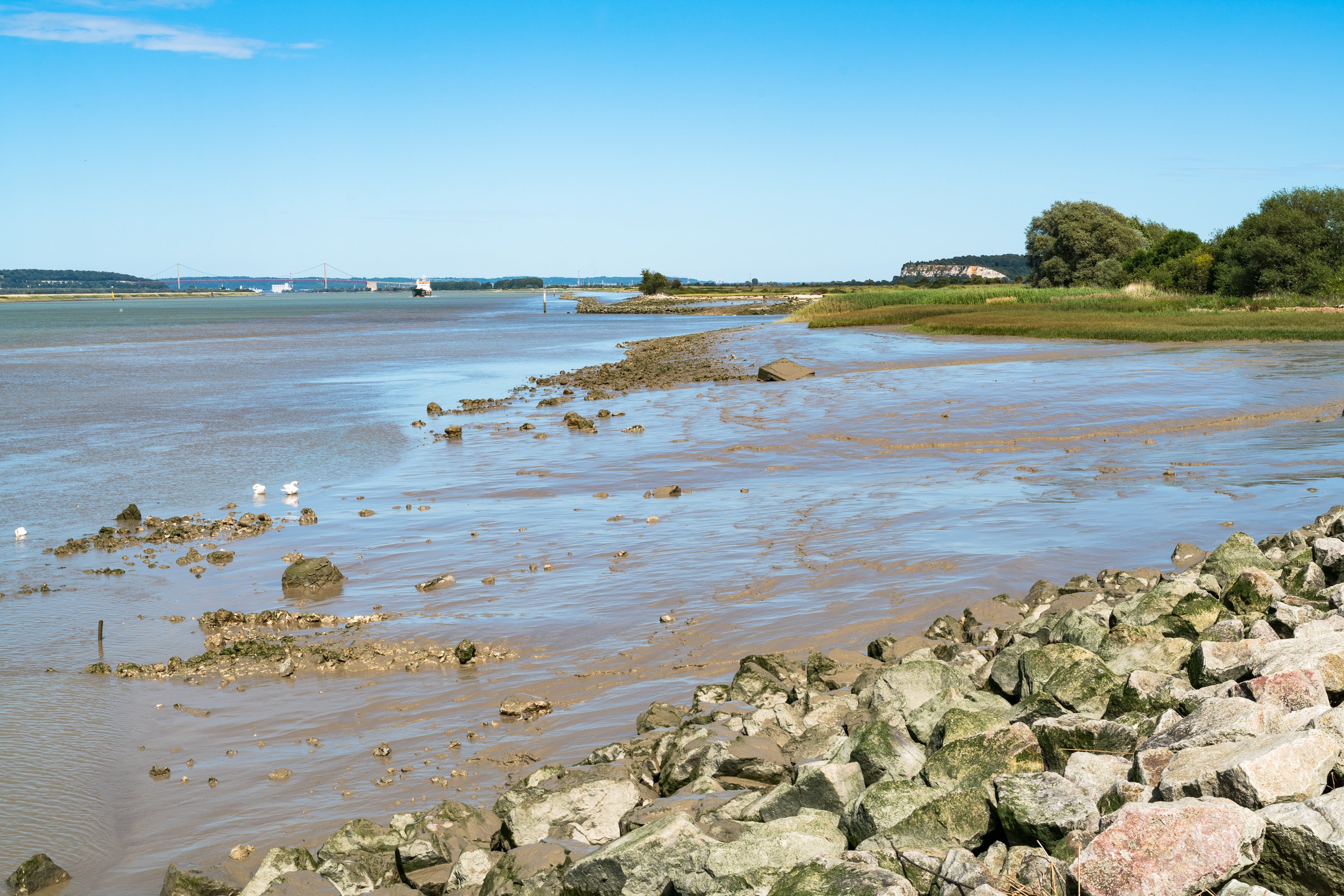 Randonnée pédestre entre bocage et estuaire