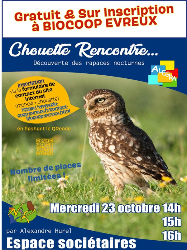 ChouettesRencontres-EvreuxNormandie