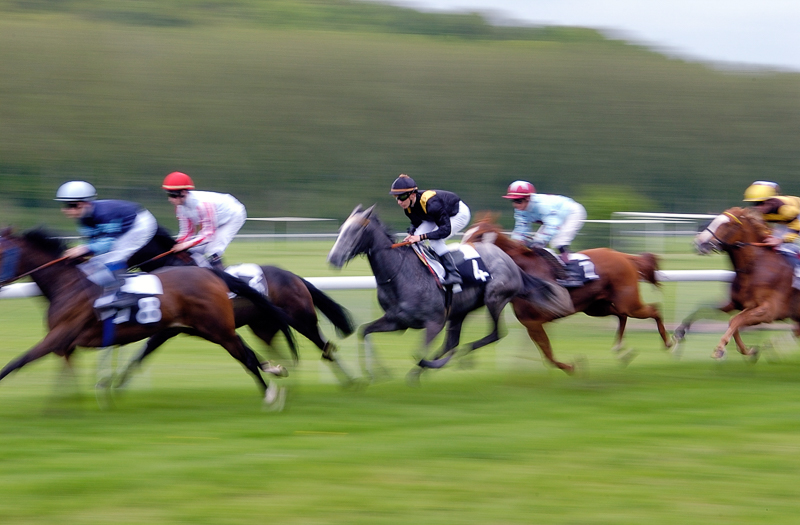 Courses-Hippodrome-Evreux-Normandie©Ville-dEvreux-2-2