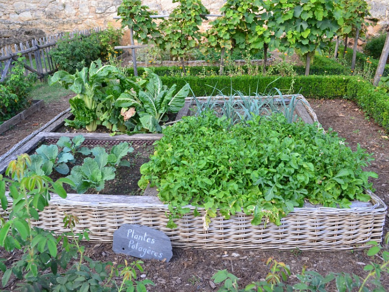 Potager_EvreuxNormandie