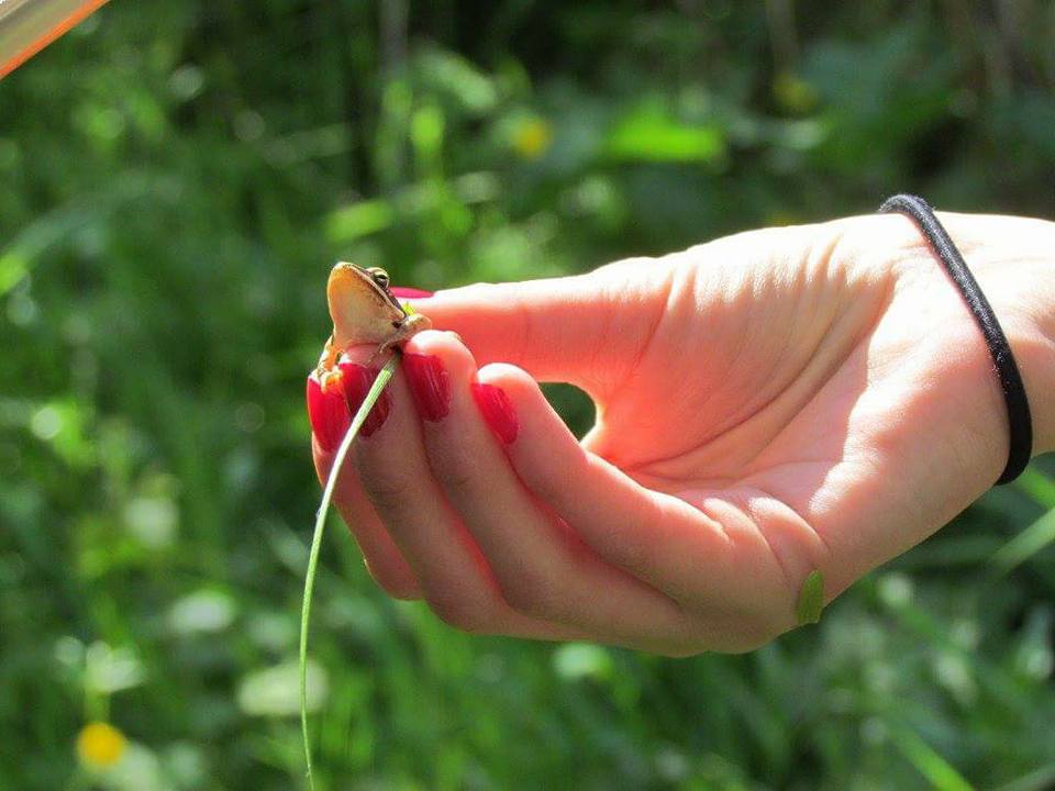 Rando Le Retour du Printemps