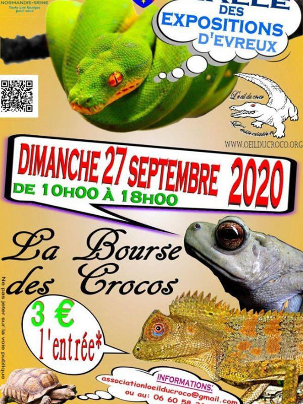 crocos_evreuxnormandie