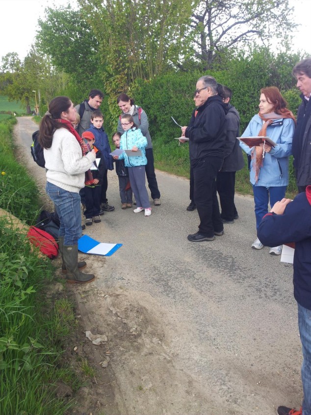 Berville-sur-Mer : Rallye forestier dans la forêt du Mont-Courel !!