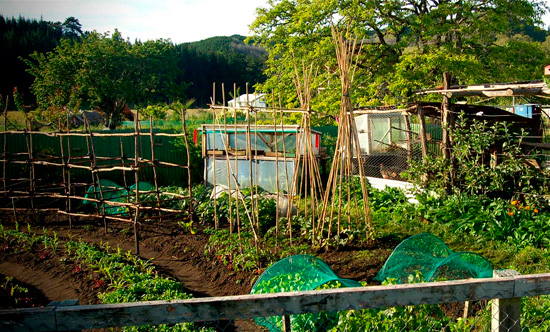 Saint Pierre du Val - visite commentée par le propriétaire, de son jardin en permaculture
