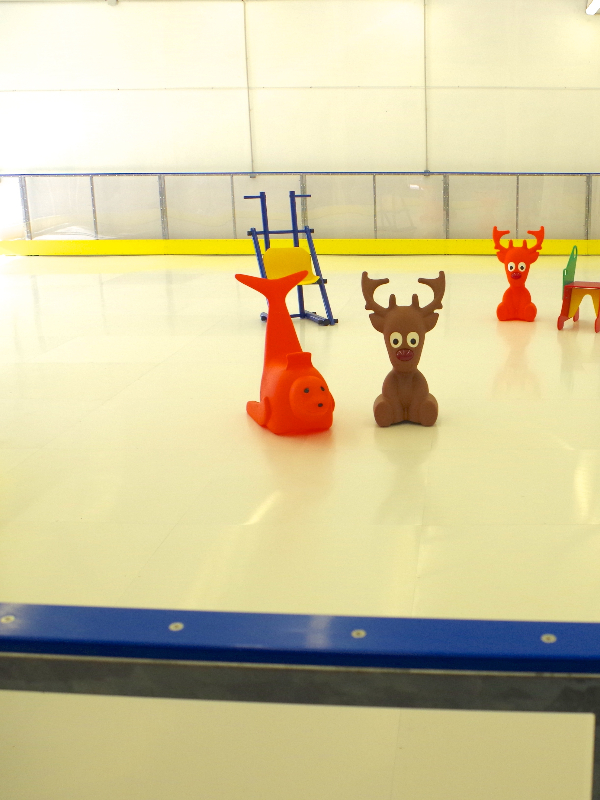 patinoiresaintandredeleure-evreuxnormandie