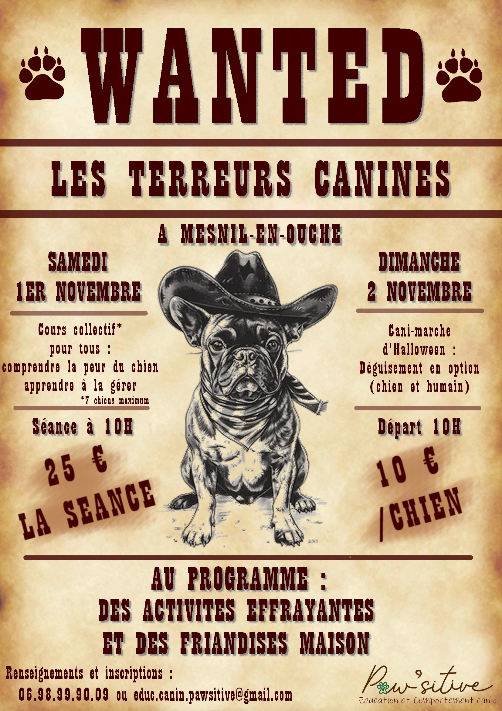 01-02.11_cani-Halloween Pawsitive - MeO