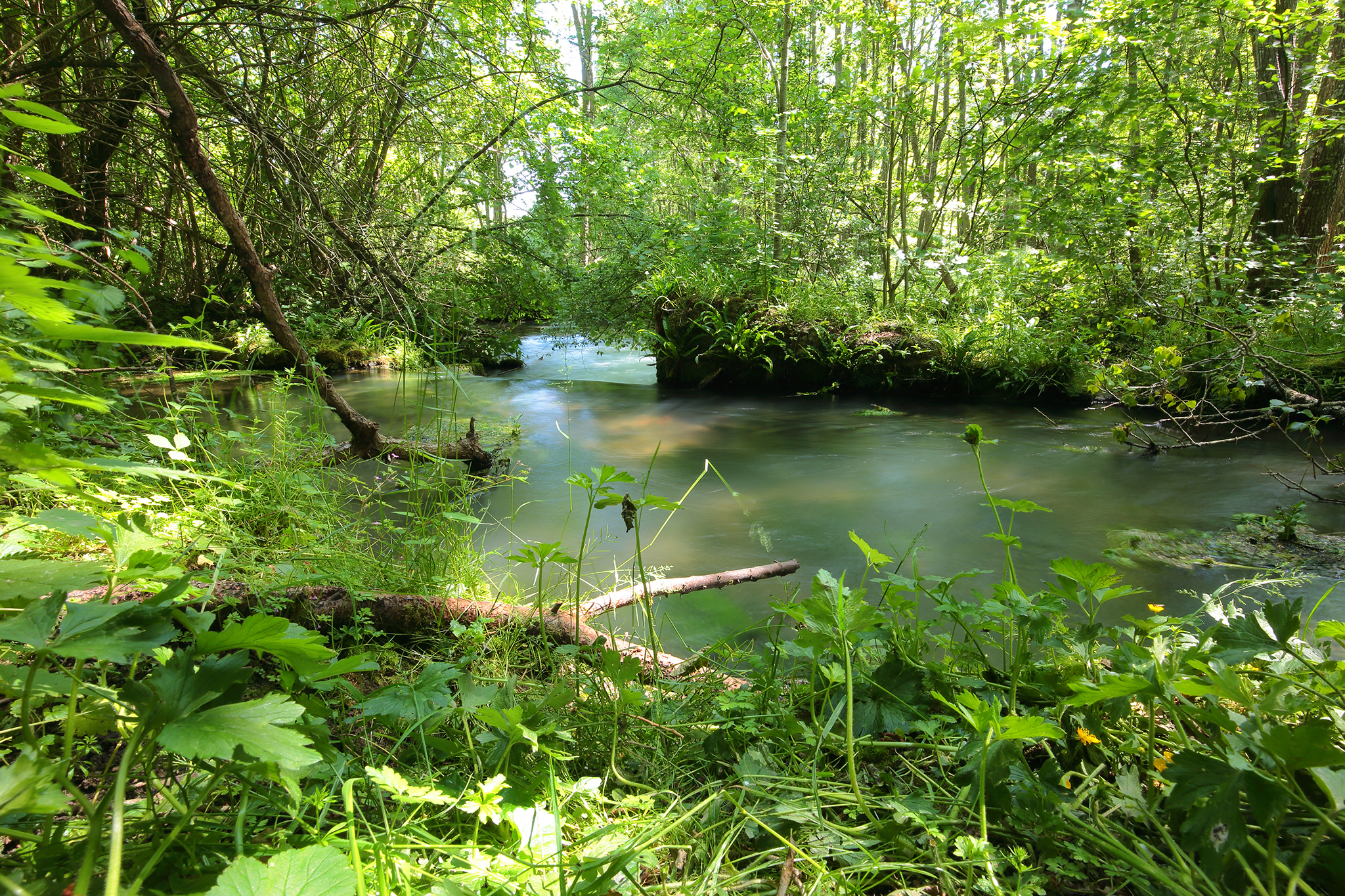 051_Résurgence_Guiel_07-2020_CC4A7700_BDef