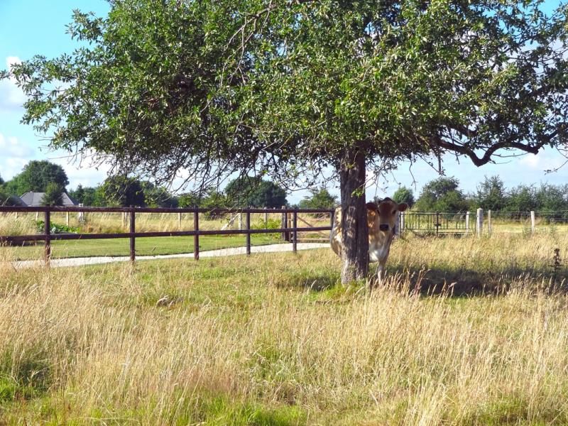LA FERME DU PEROIR