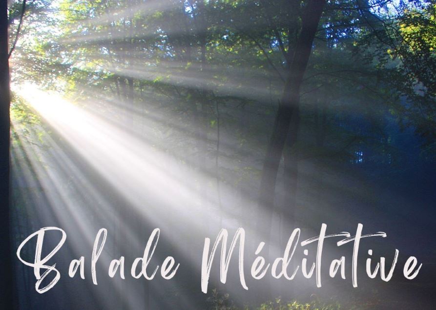 15.01_balade méditative (visuel)