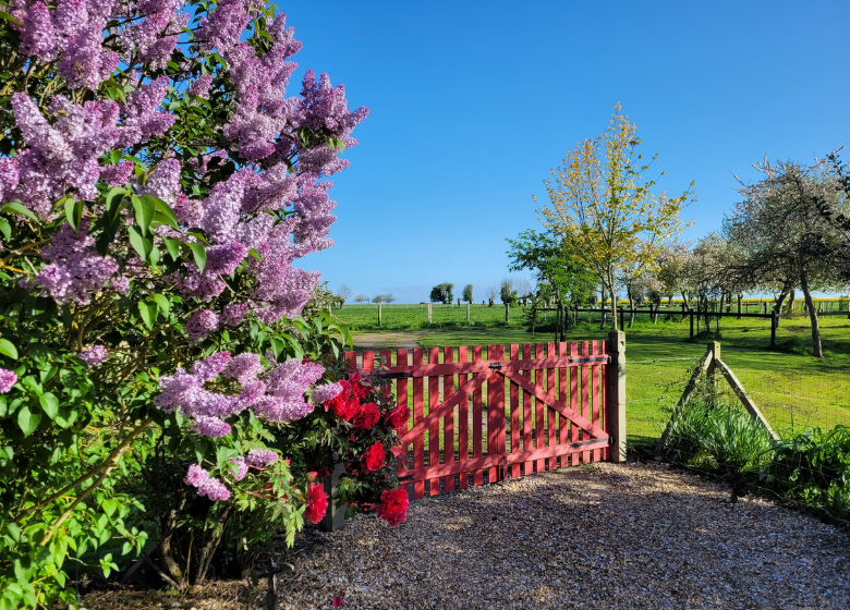 Design sans titre - 17