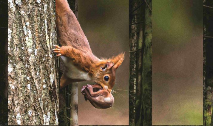 17.01_08.02_expo photo Nicole Mallet - Fabrique de la Risle (visuel)