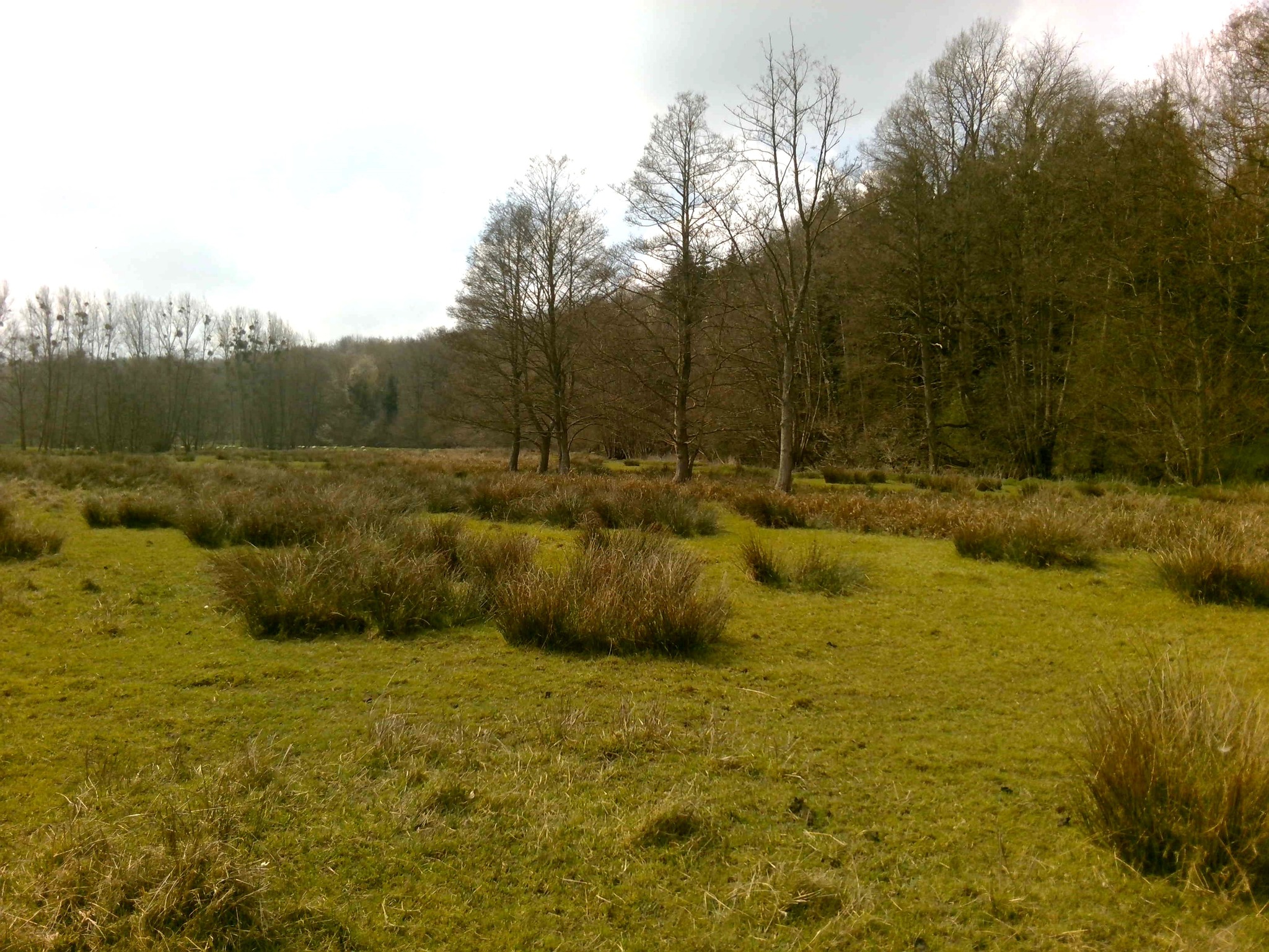 27.03_conférence Natura 2000 - maison des assos