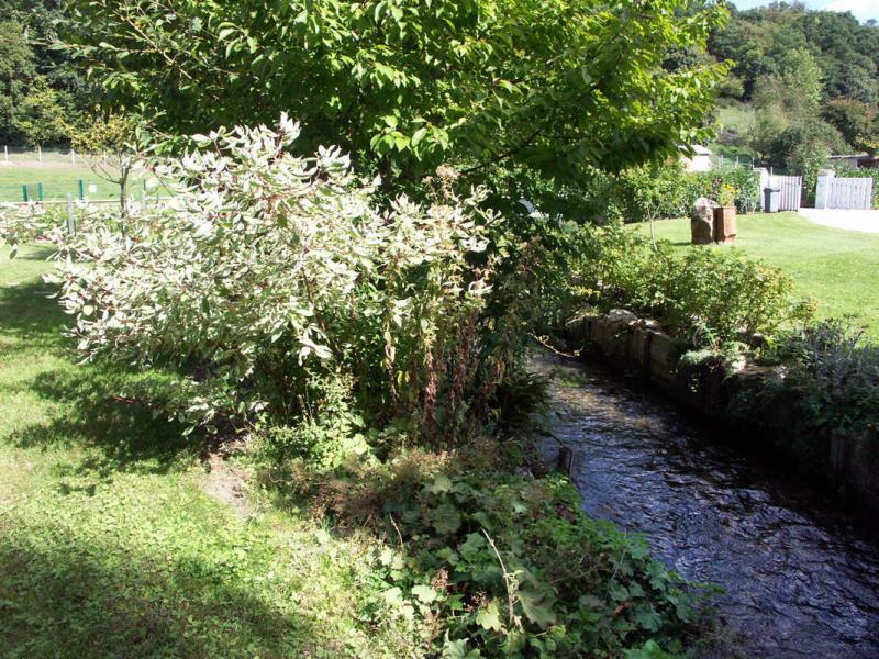 L'ancre