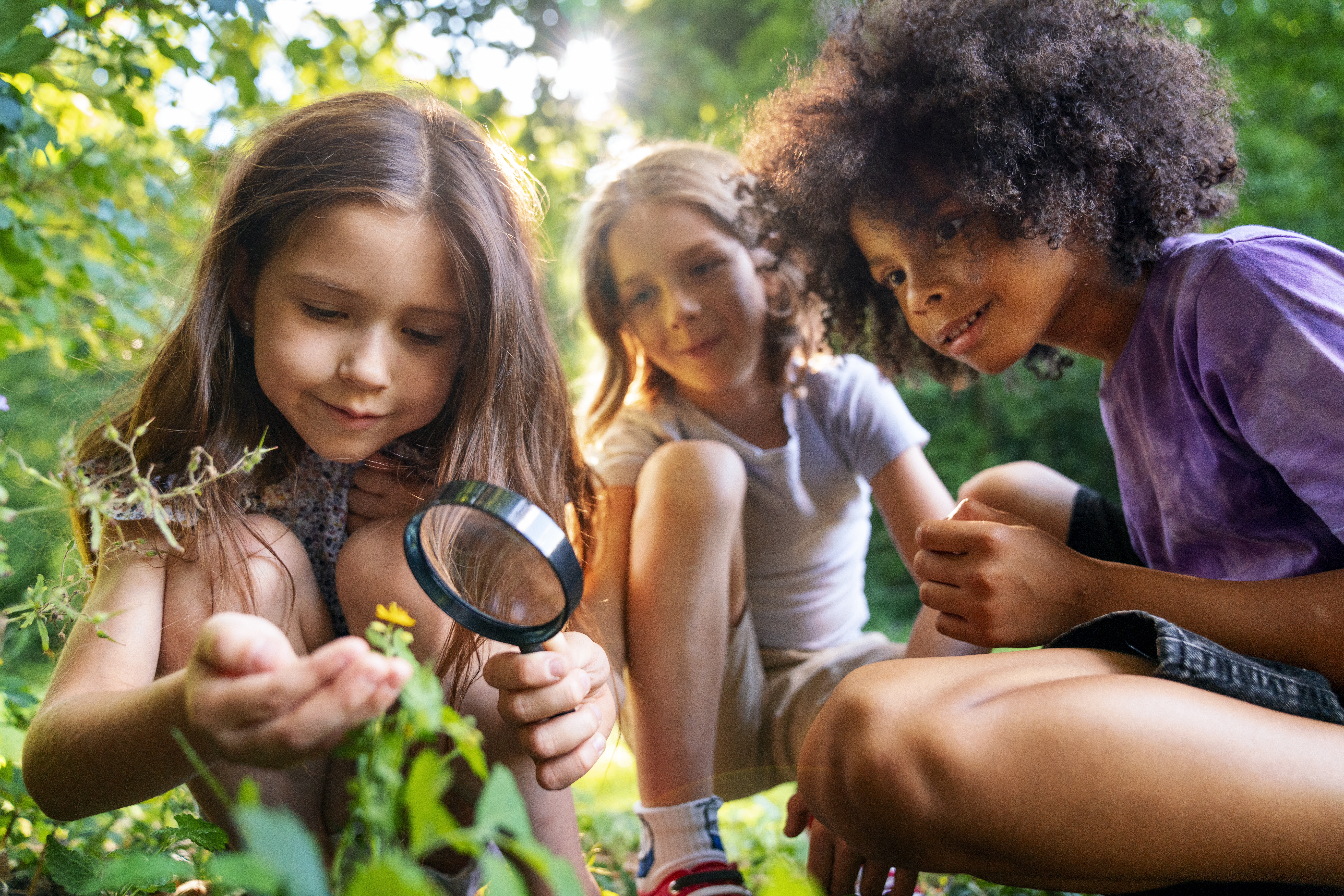 Animation nature enfant (freepik)
