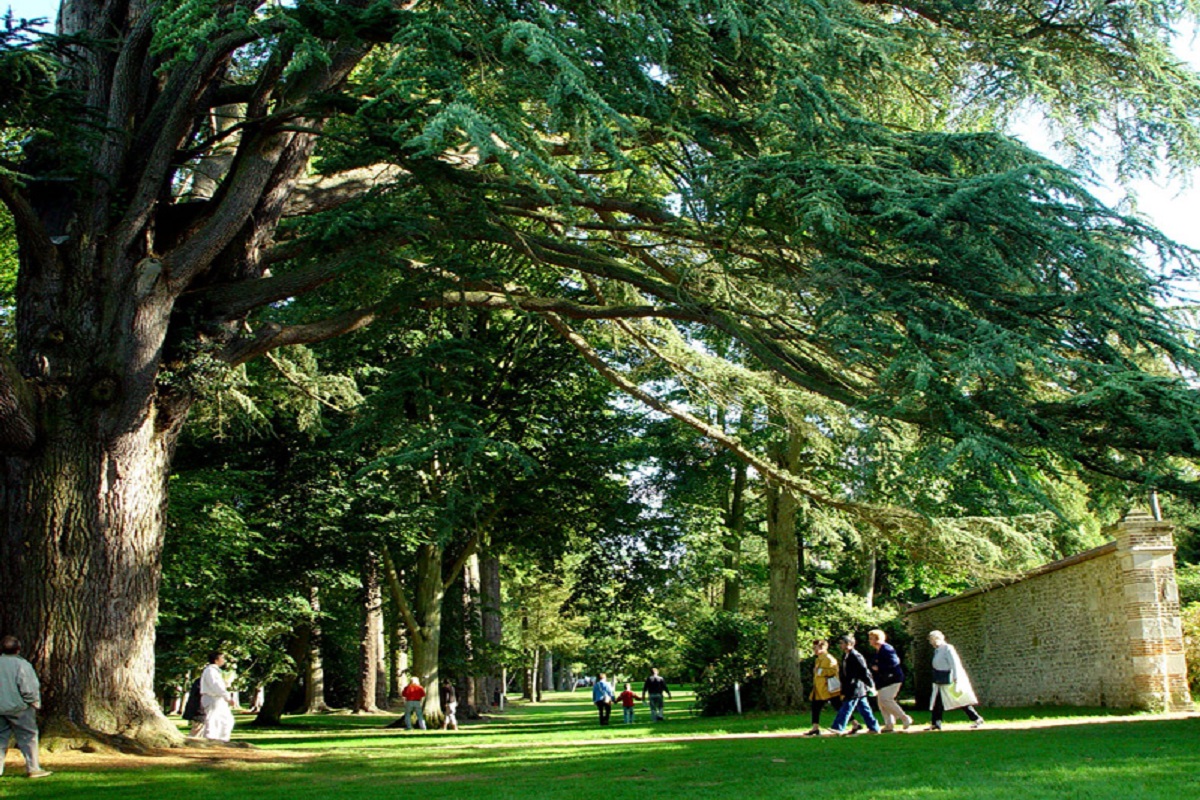 Arboretum-d-Harcourt