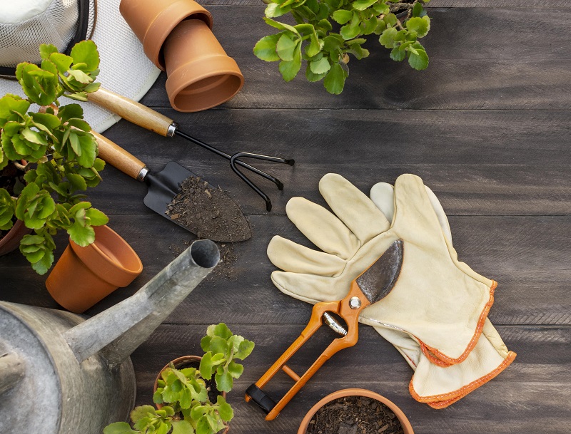 Atelier jardinage