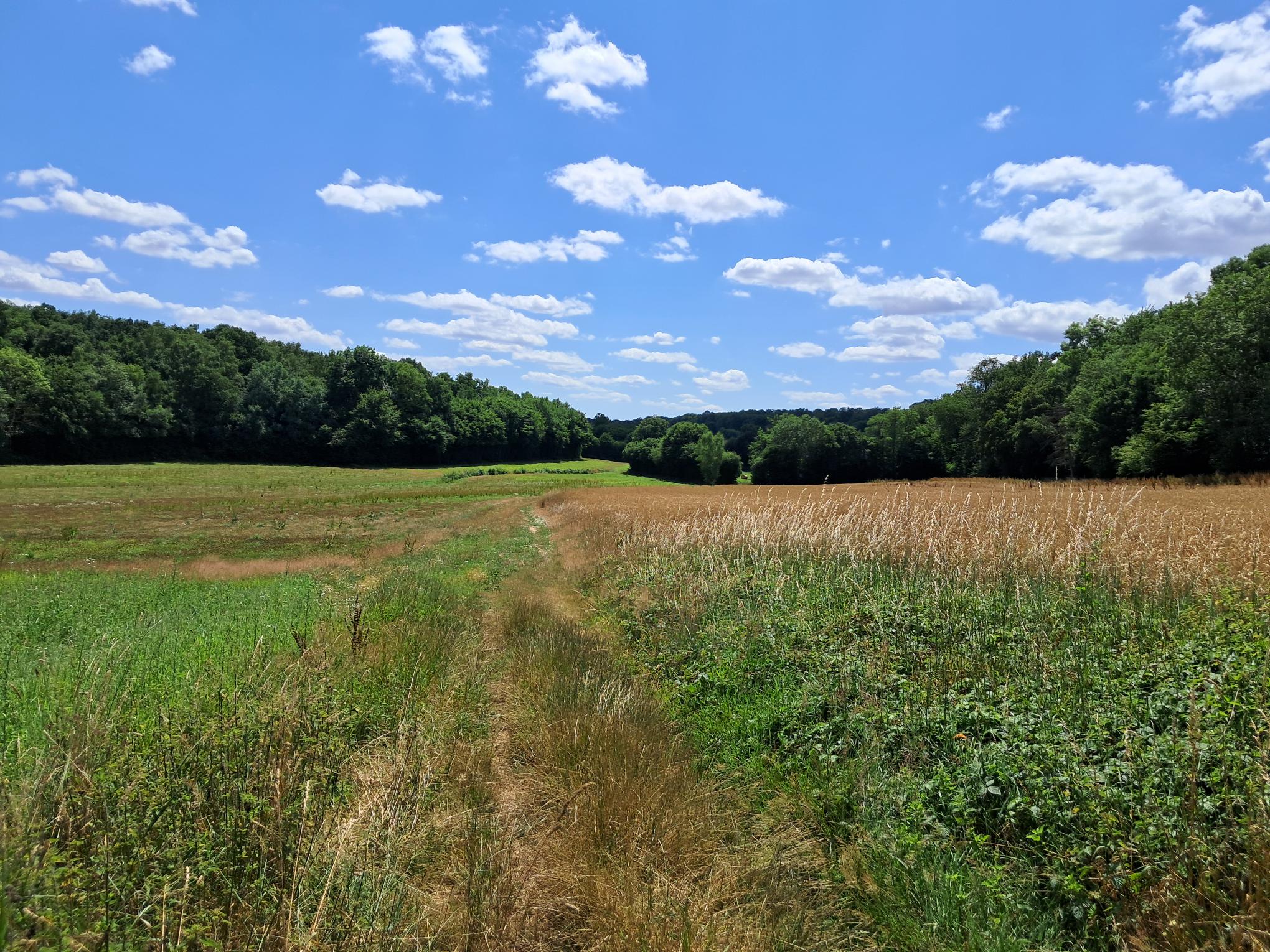 Circuit pédestre à EpinayMEO