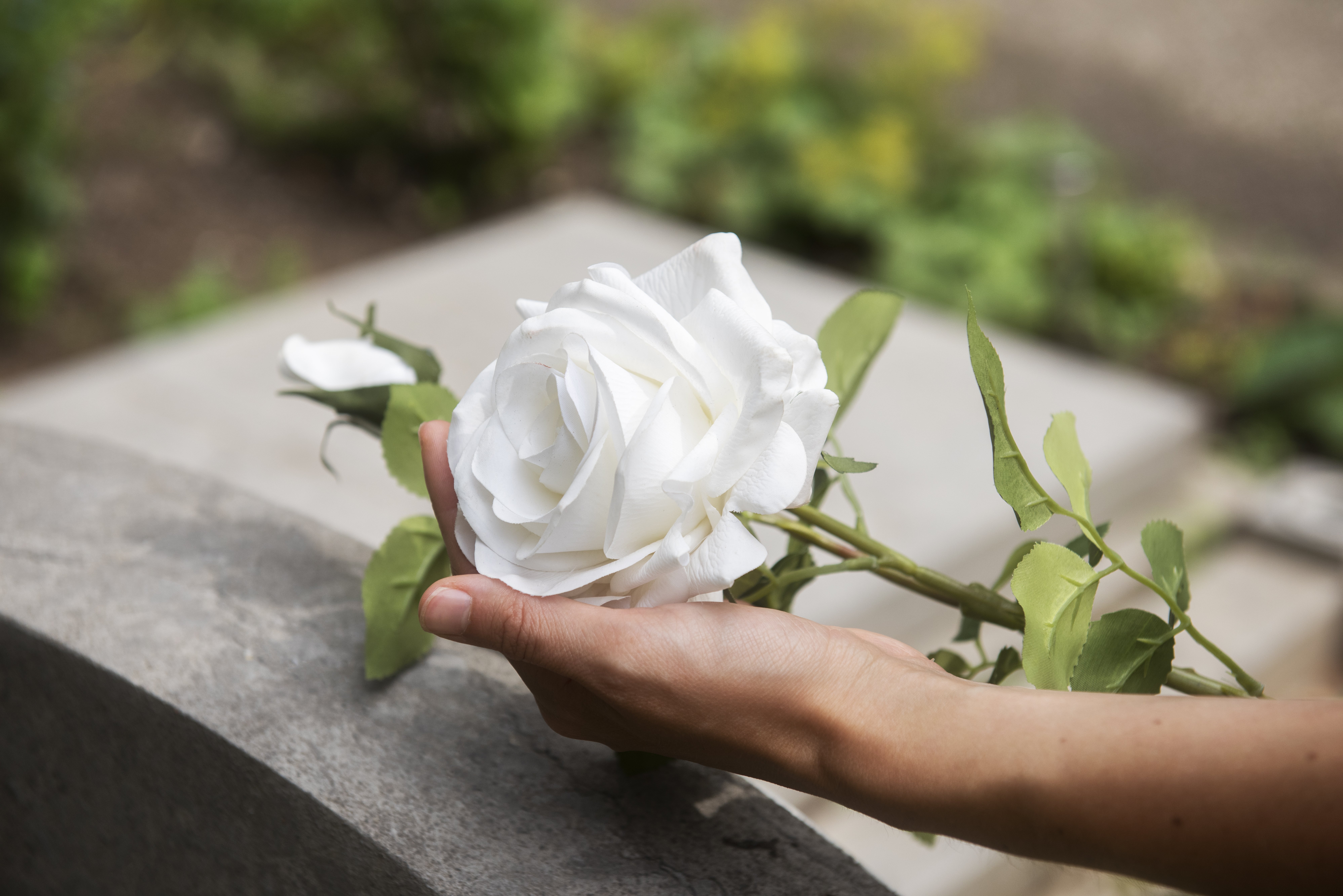 Commémoration (freepik)