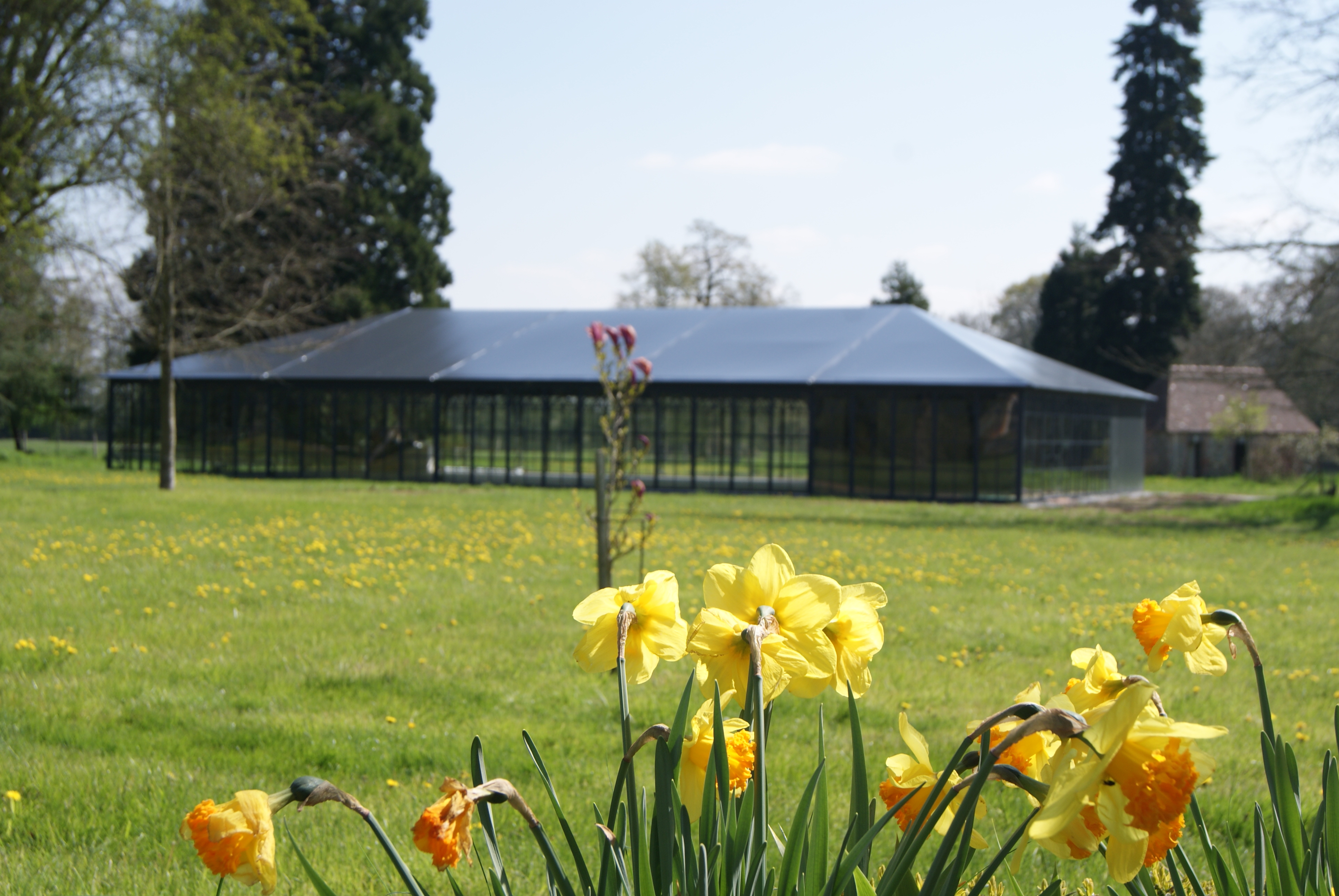 Palais de Verre du château du Blanc Buisson