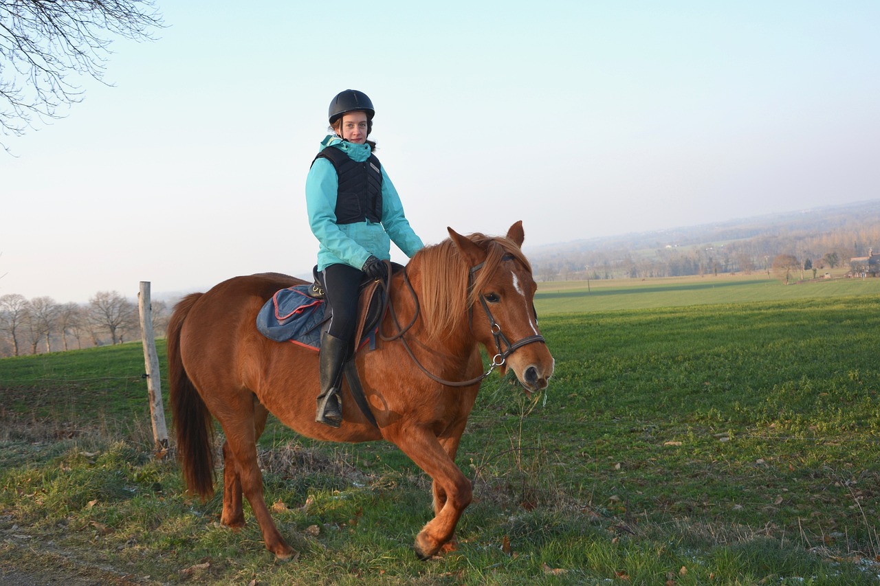 Equitation (pixabay)