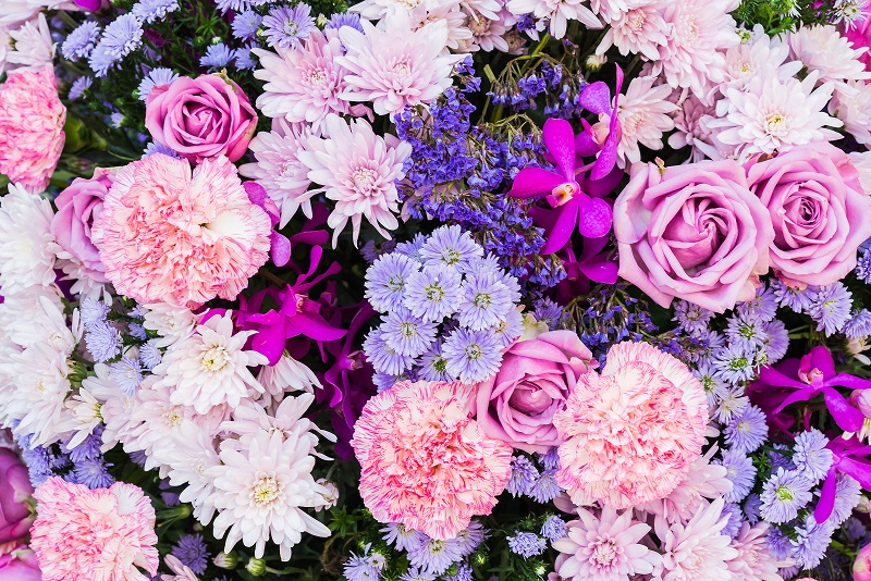 Flower backgrounds