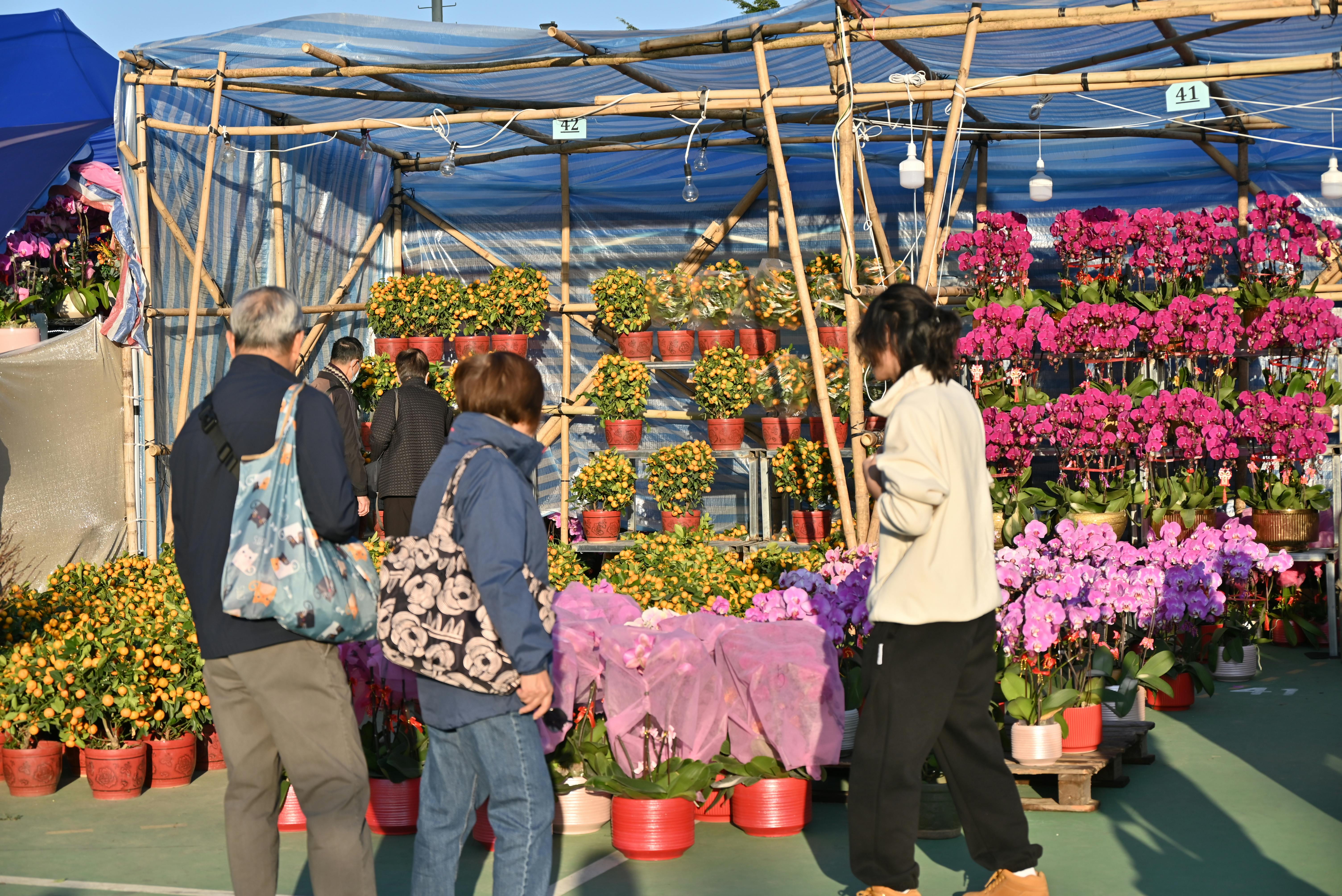 Foire aux plantes (pexels)