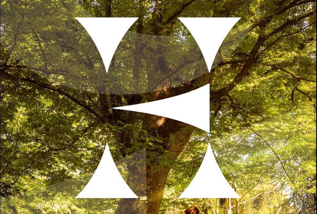 Harcourt (nouveau logo - paysage)