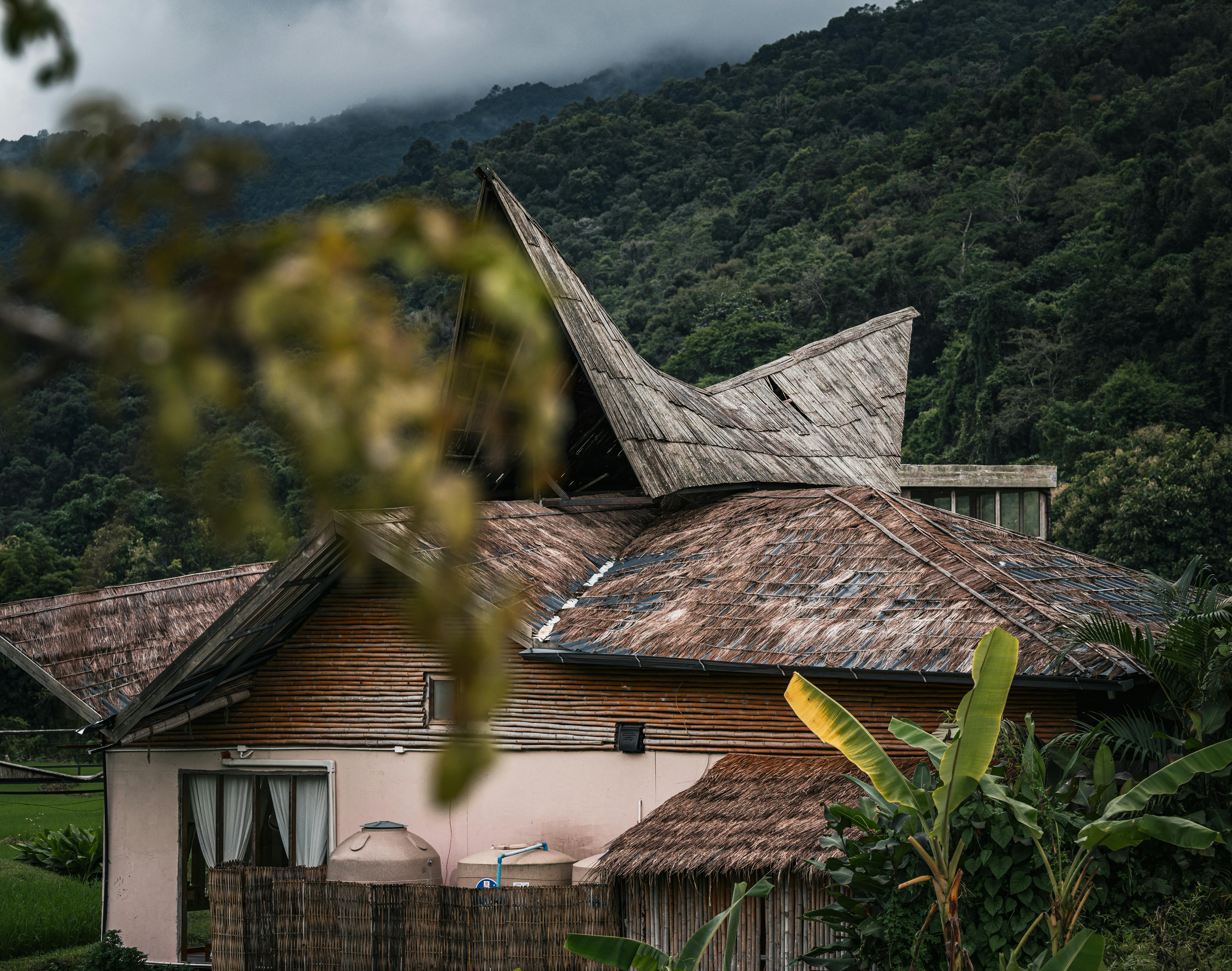 Maison nature (pexels)
