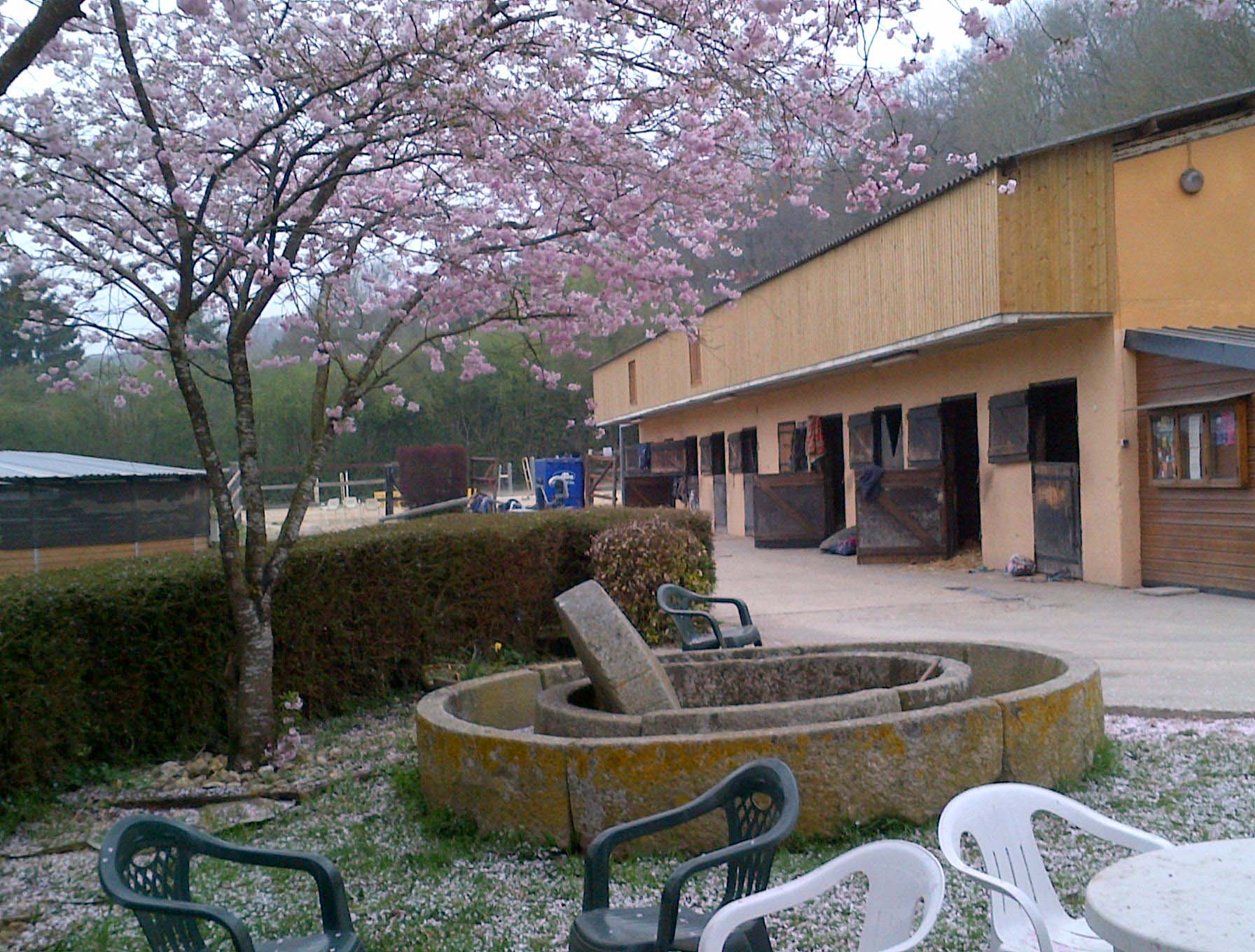 PHOTOS CLUB + PONEYS (1)
