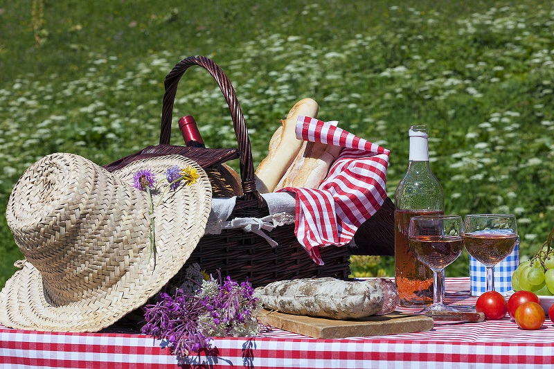 picnic in french alpine mountains