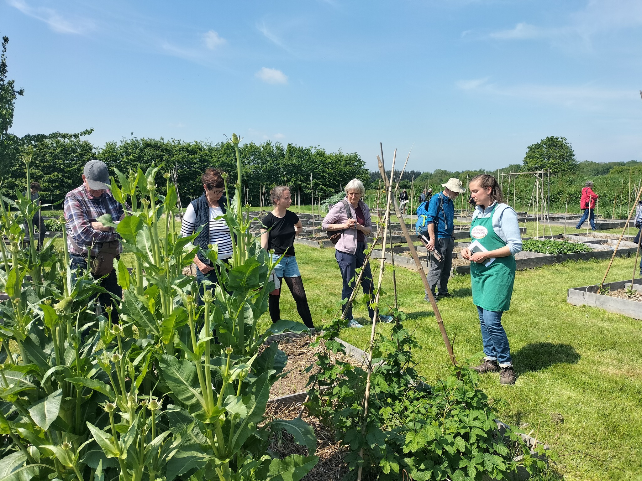 Potager de Beaumesnil