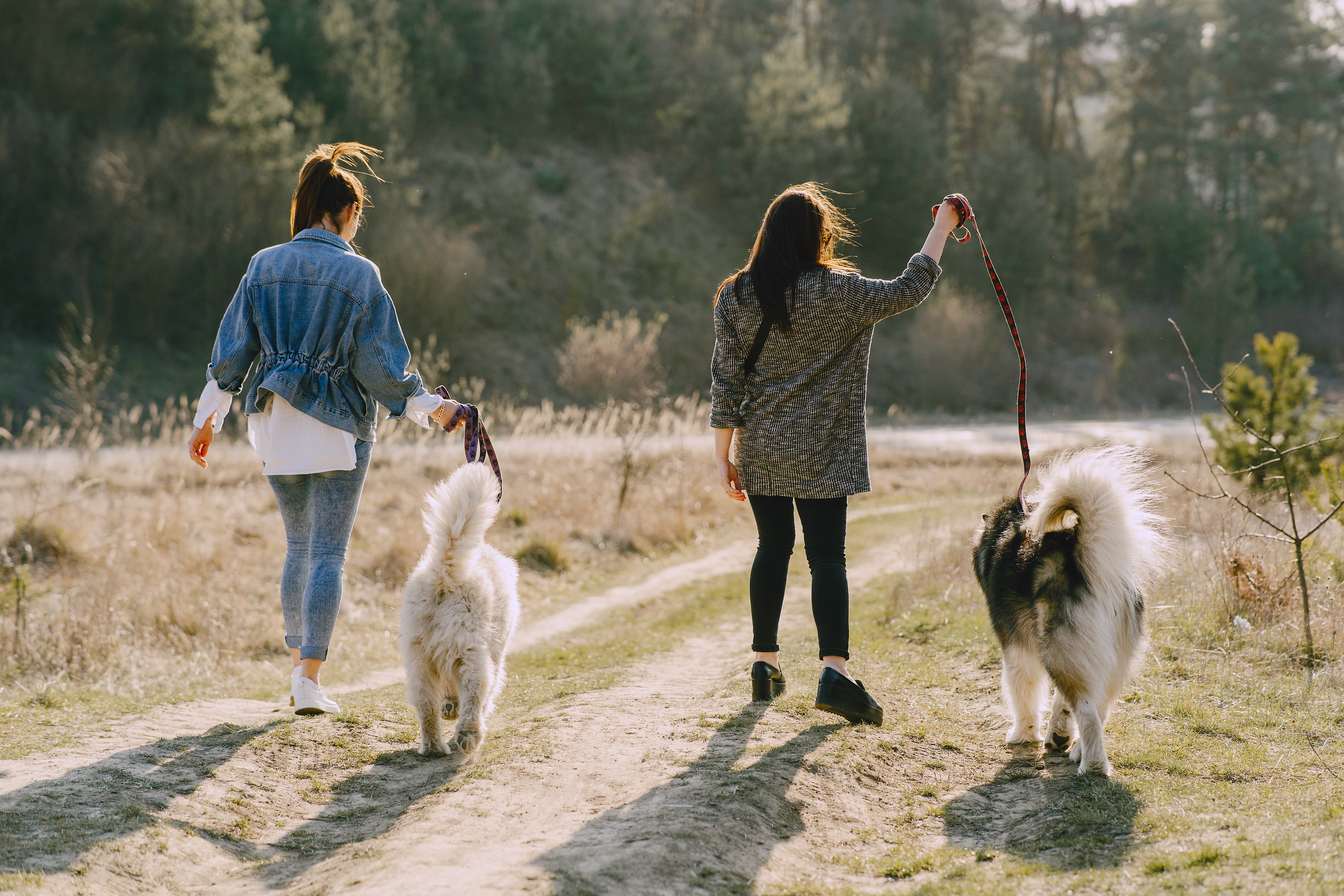 Two stylish girls in a spring field with a dog