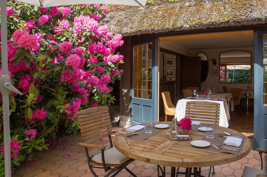 © Le Petit Coq aux Champs, Campigny