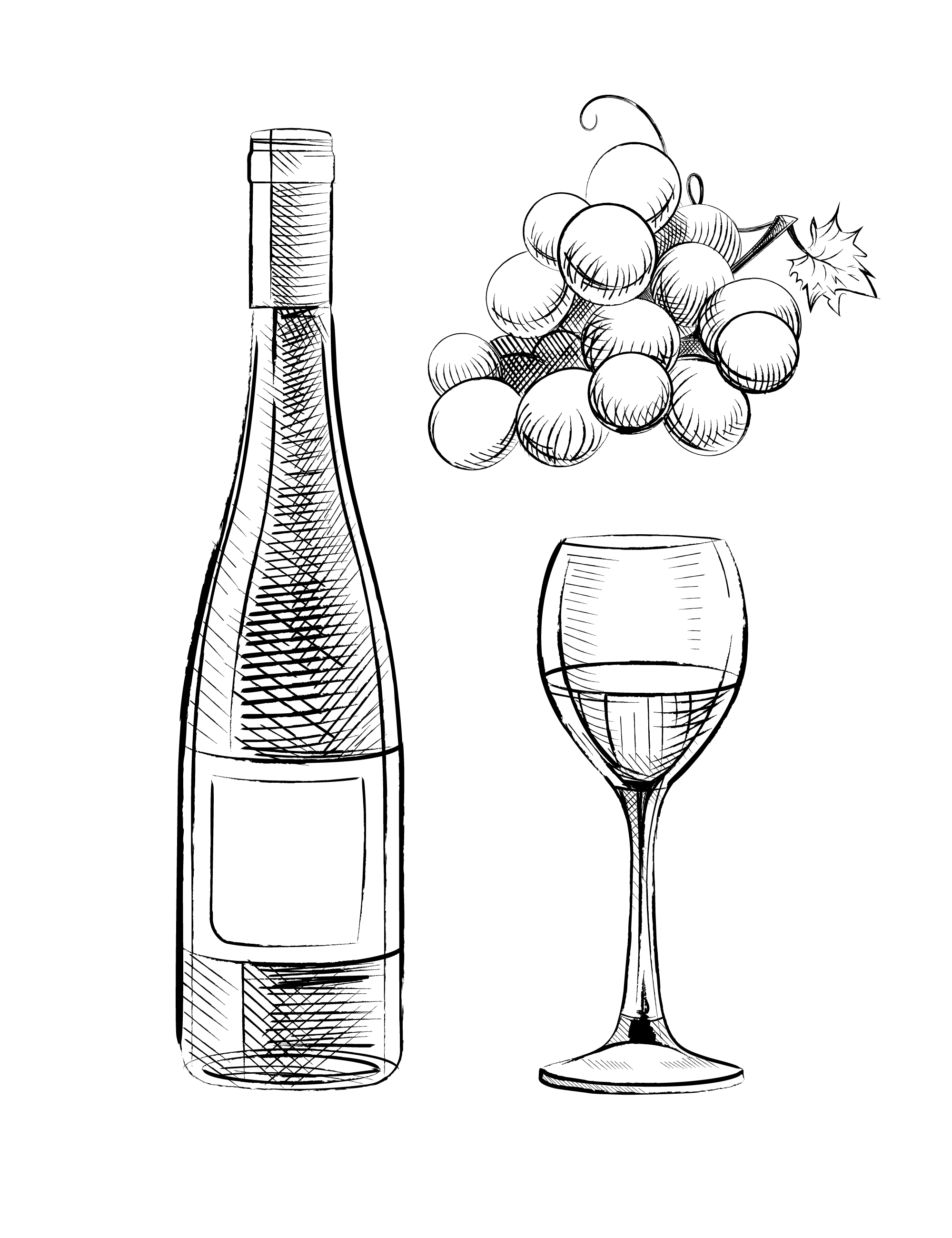 Wine Hand Drawn Set