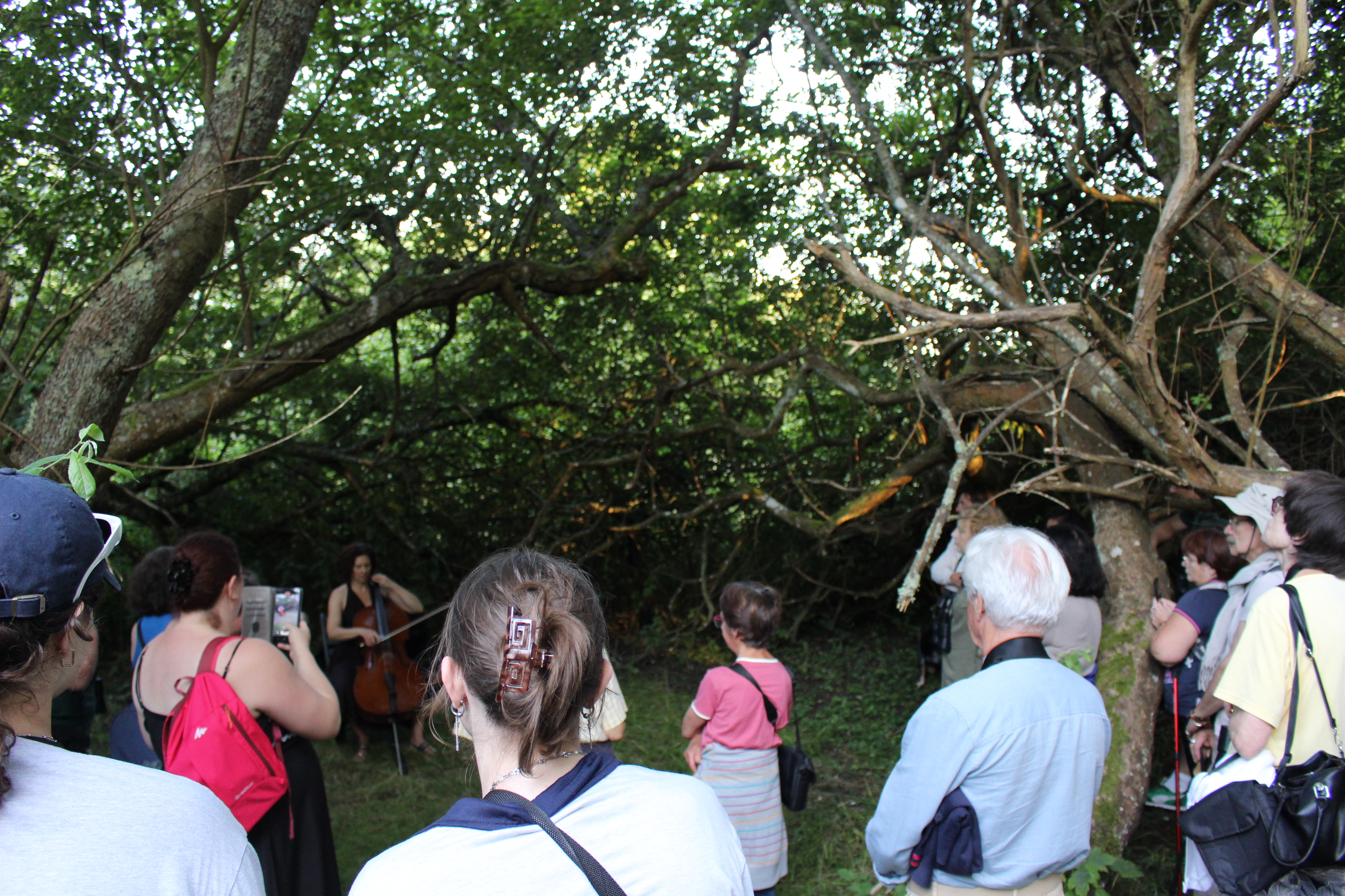 balade musiq ENS 2 ©mjcbernay