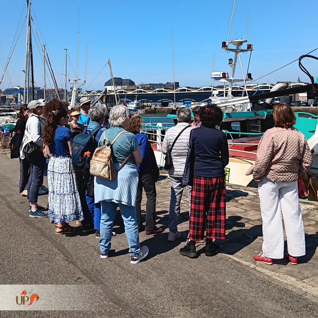 biodiversitup-animation_24.05.11-adultes-balade-bord-mer-1024x1024