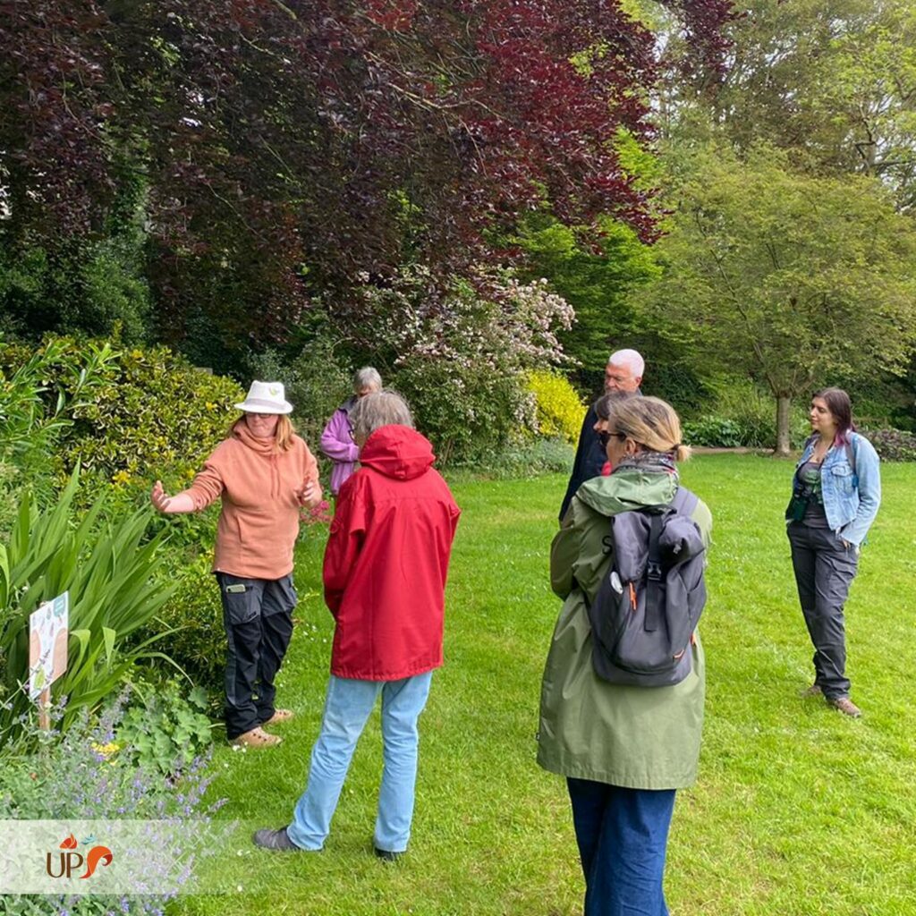 biodiversitup-animation_24.05.18-adultes-faune-en-ville-2-1024x1024