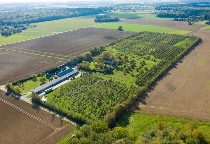 cidrerie---vue-aerienne