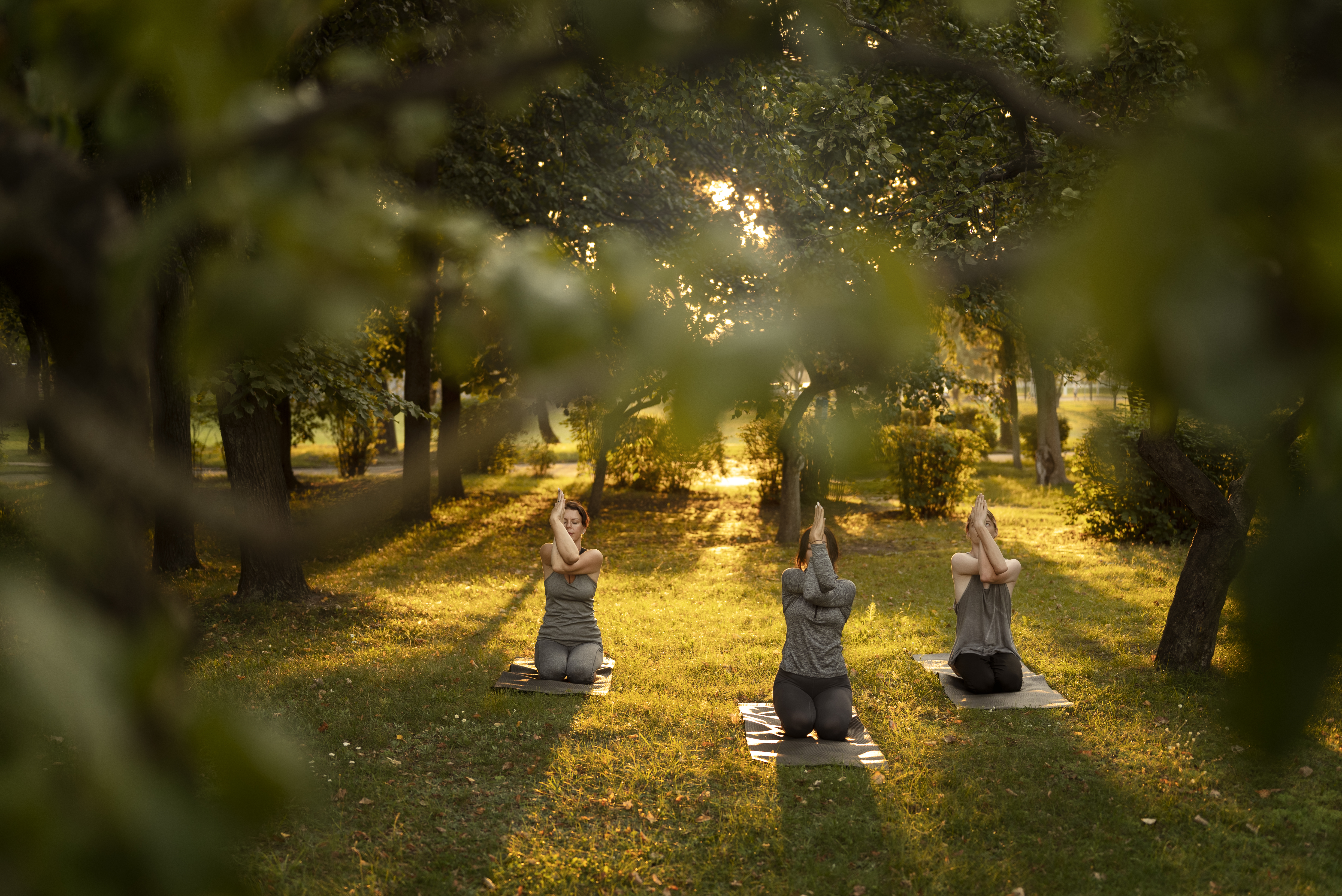 pleine-photo-femmes-meditant-dans-la-nature
