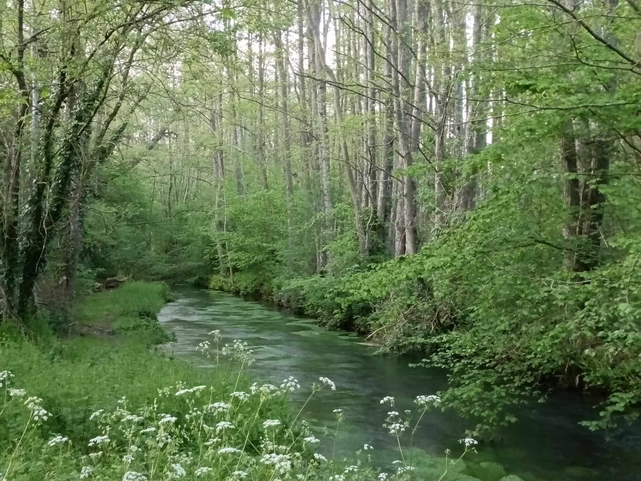 resurgence-du-guiel-piquenot