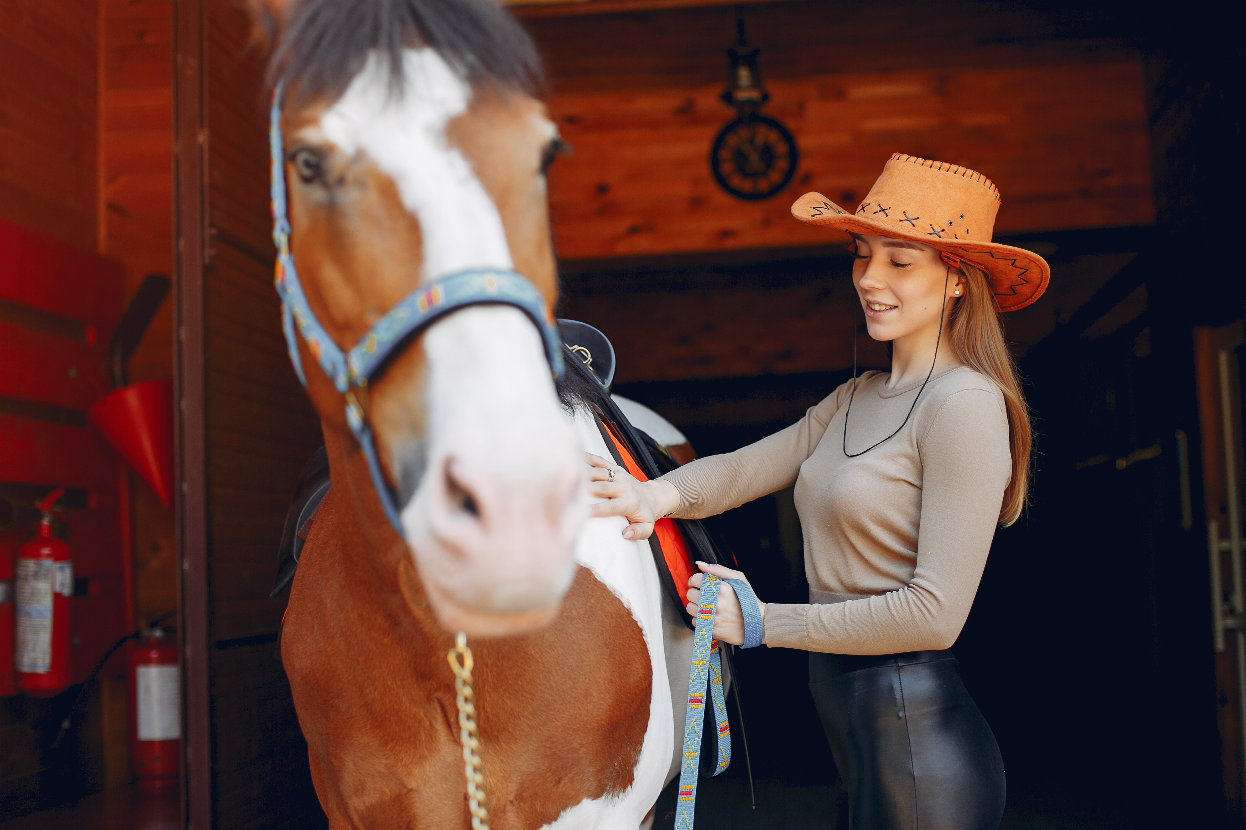 Beautiful woman standing with a horse